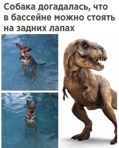 Немного картинок для настроения 12.02.20