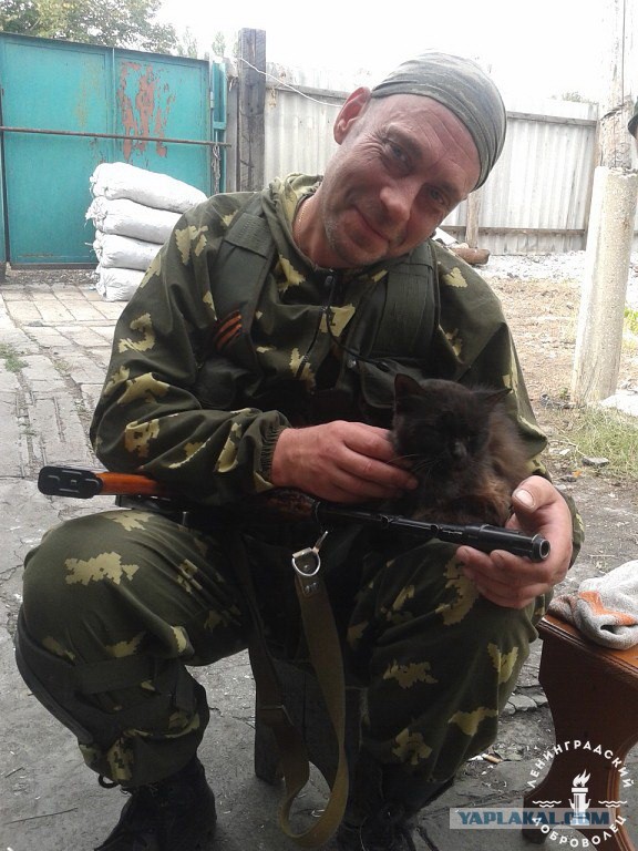 Братья наши меньшие на фронте