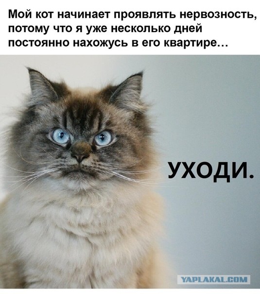Пандемия. Коронавирус. Россия и мир. Последняя информация. Часть 12