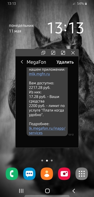 Мегафонь закрыл команду проверки баланса