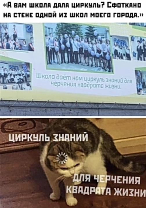 За 500 гитару не купишь и чем отличается девушка от женщины