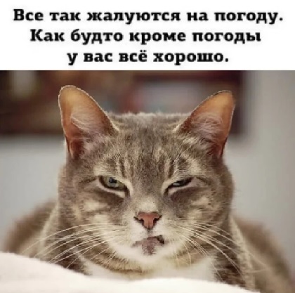 Зафиксировано катастрофическое усиление жары по всей Земле