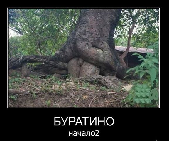 Демотиваторы древние.