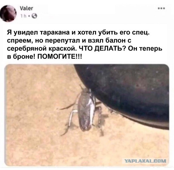 Картинки с надписями и всякие жизненные фразы 16.1.21