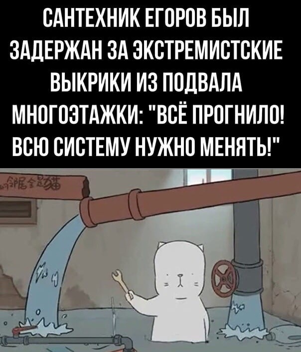 Кретинизмы из сети Night Edition 9.02.21