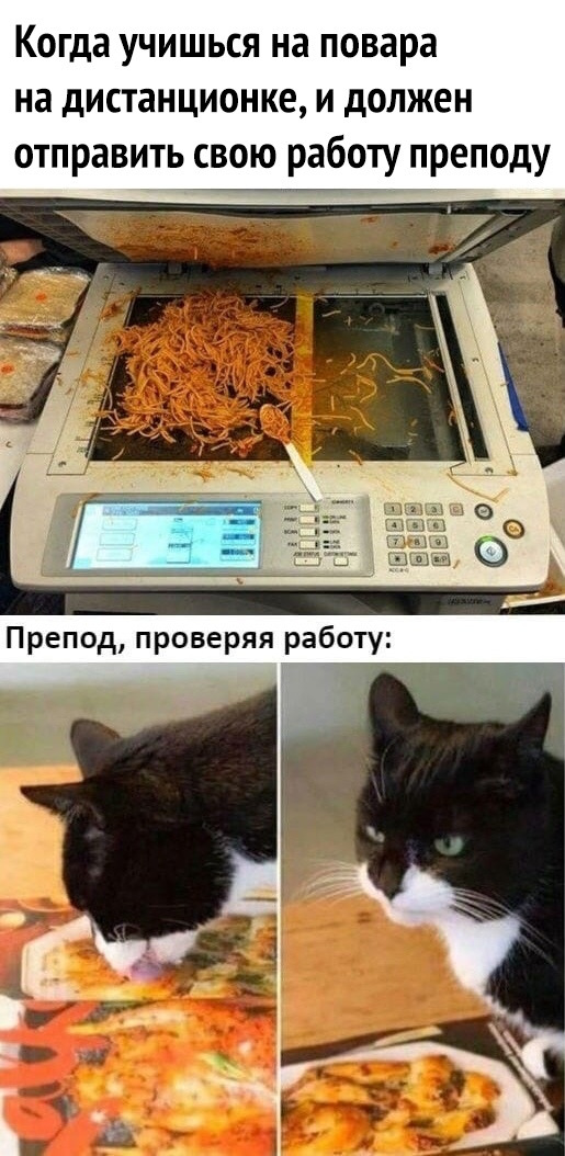 Весёлый полтишок 7.03