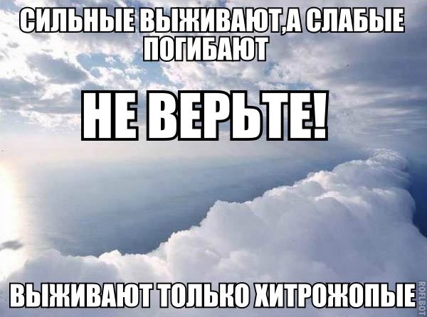 Так себе картинки 23.05.21