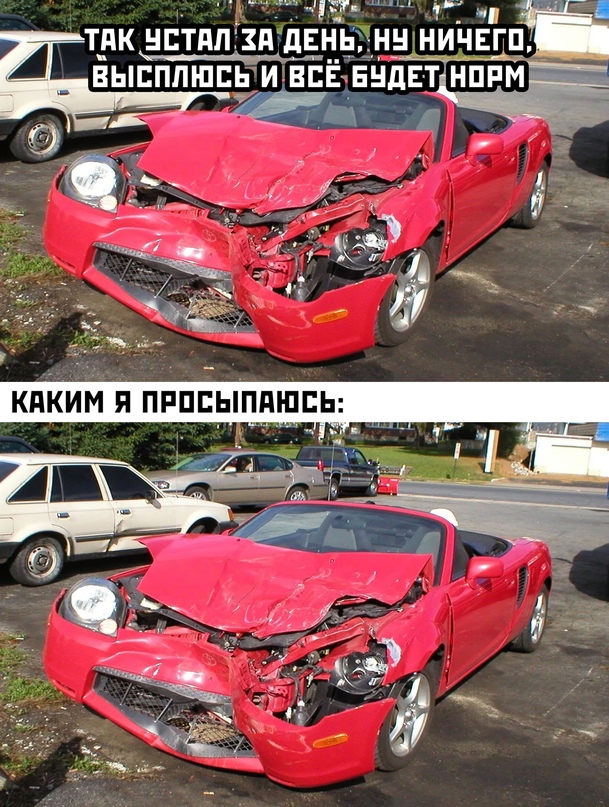 Весёлый полтишок 10.08