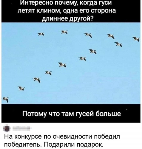 Так себе картинки 11.09.21