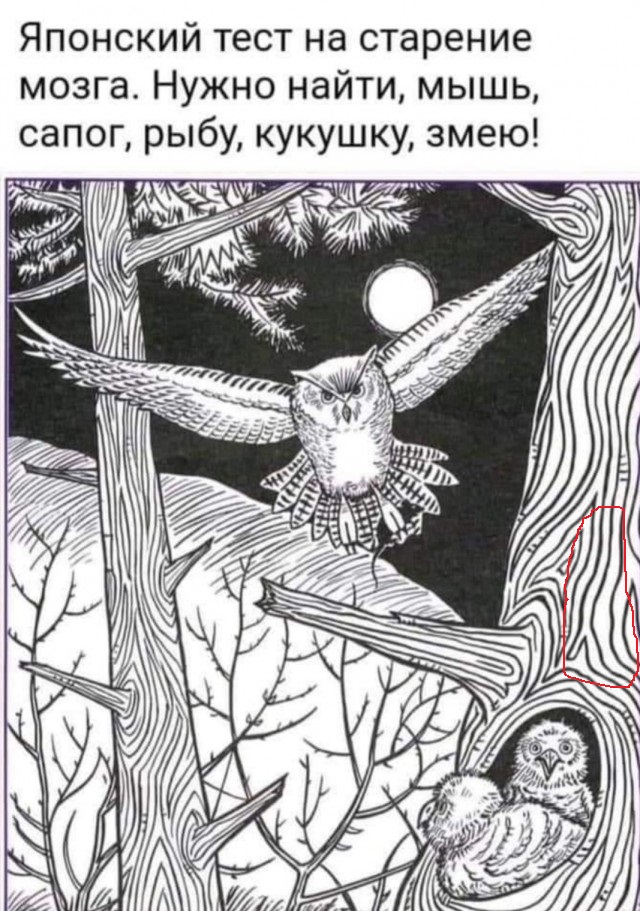 Бредзона 10.10.2021