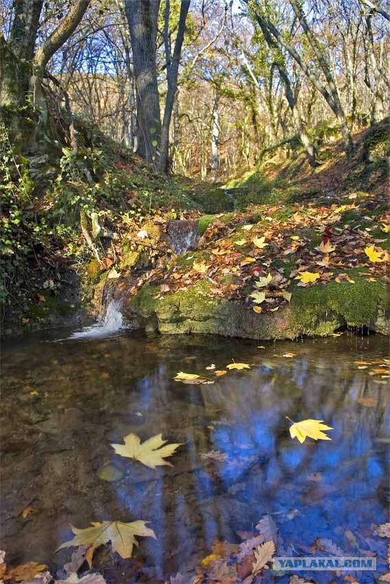 Крым, лучшее место в мире
