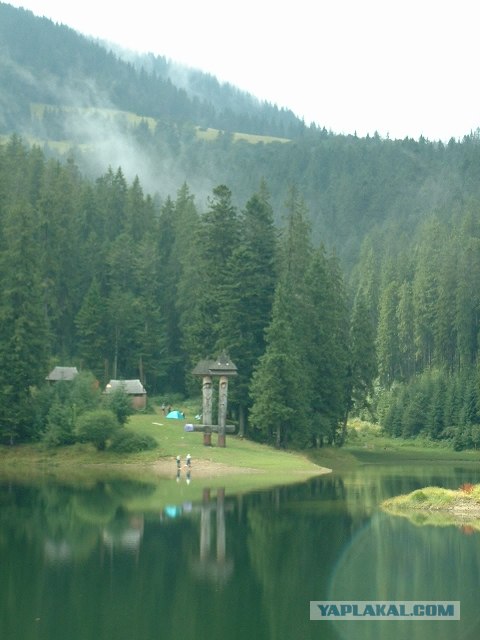 Карпаты, Закарпатье.