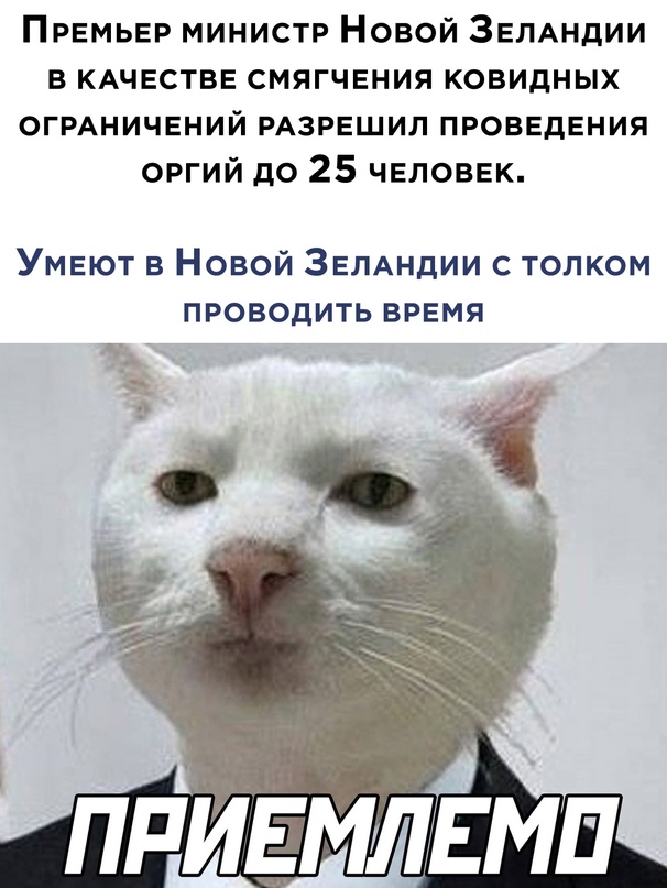 Весёлый полтишок 16.12