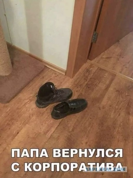 Смешные комментарии из социальных сетей 31.12.21