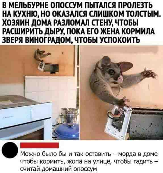 ПервоФевральская Хня, для дорогих деградантов
