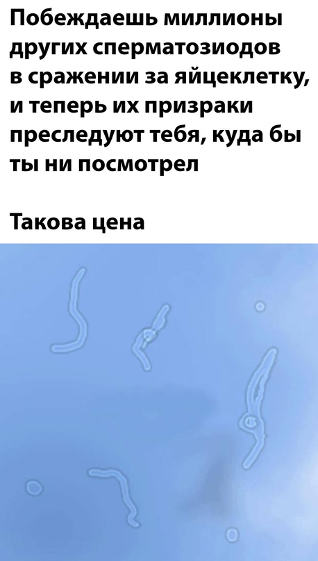 Весёлый полтишок 28.02.22