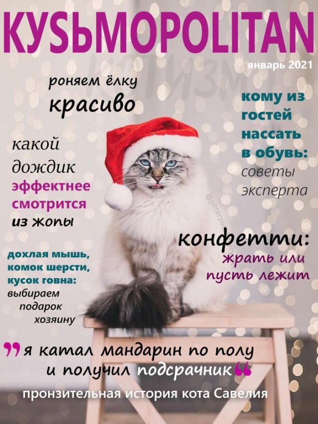 Забавные шутки, фразы, картинки из этих ваших интернетов