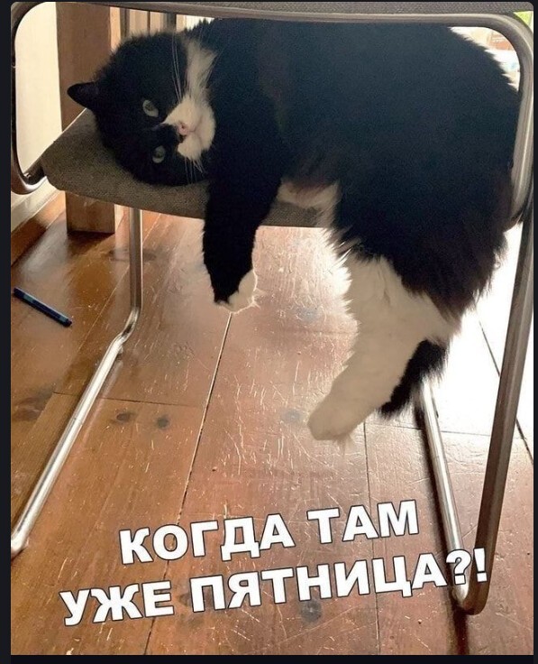 Баянисто-небаянистый юмор 7.06.22