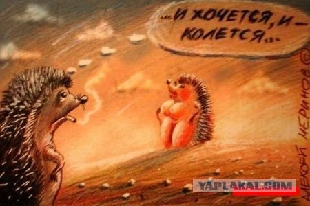 Детские сказки на новый лад