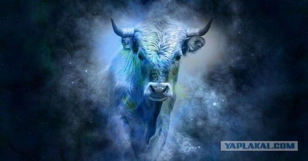 Драконы жили на Руси?