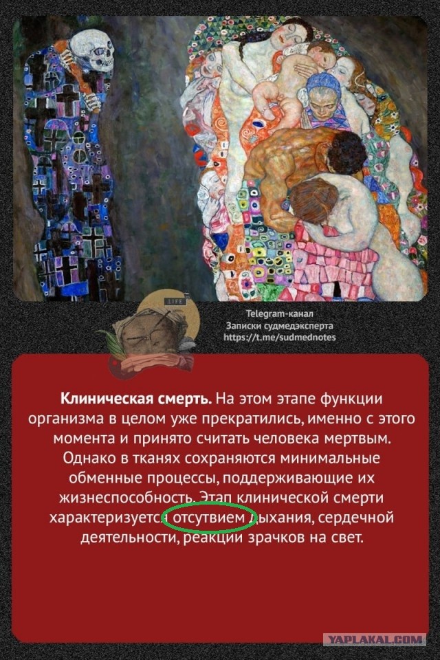 О терминальных состояниях организма