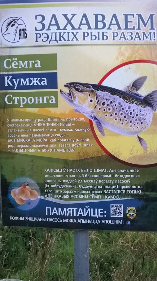 Белорусский язык