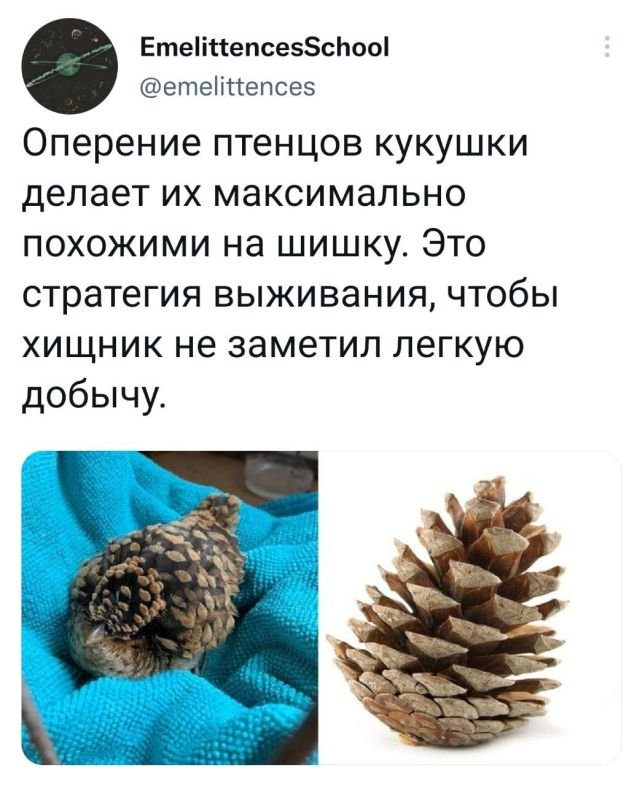 Картинки и мемы, всем хороших выходных