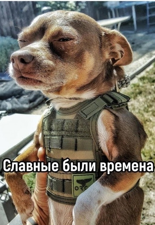 Ну чё, погнали наши городских!