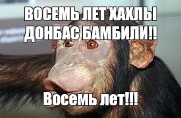Восемь лет мем обезьяна