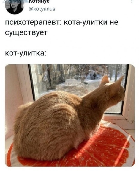 Так себе картинки 27.04.23