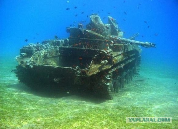 Wargaming 4