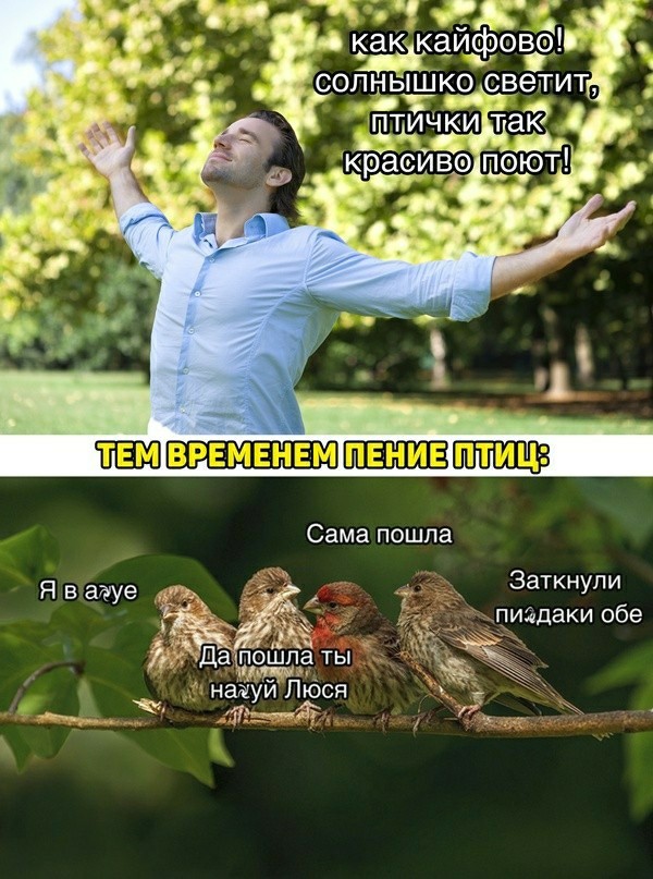 Немного картинок и прочей хреноты Vol. 22