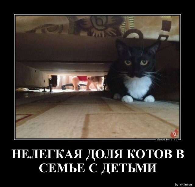 Картинки и мемы для настроения - 187