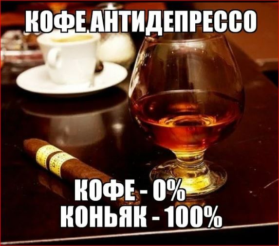 Победная поступь идиотизма по планете – том 17