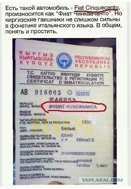Так себе картинки 28.07.23