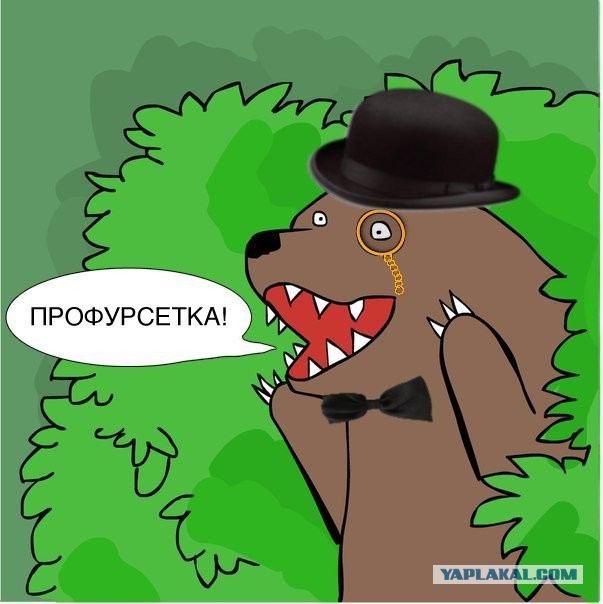 Последняя сказала всю суть