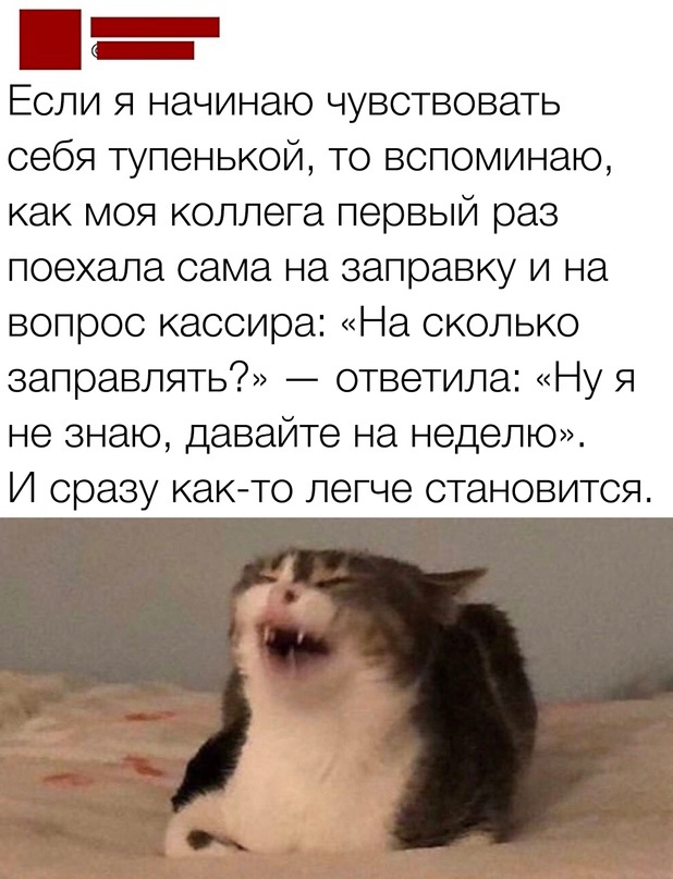 Так себе картинки 20.10.23