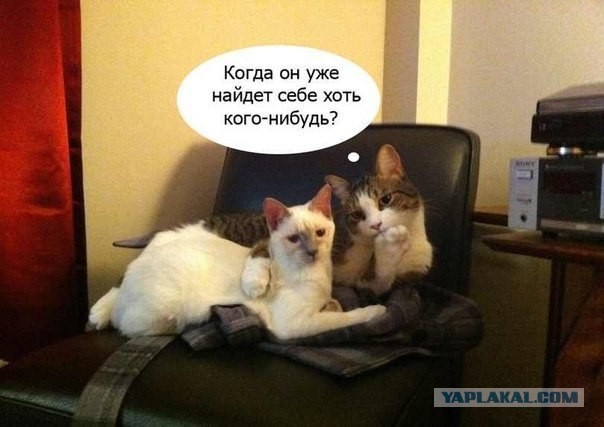 Обнимашечки!