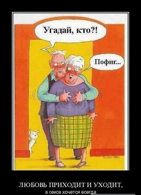 Десять пятничных картинок
