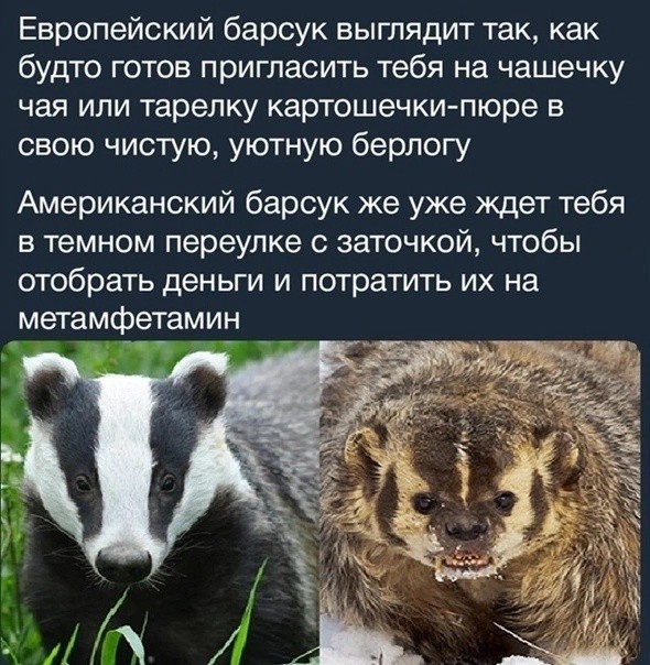 Выгнали
