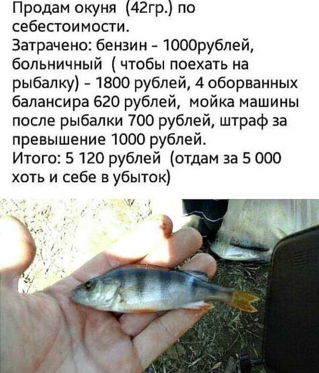 Рука устанет на такой рыбалке