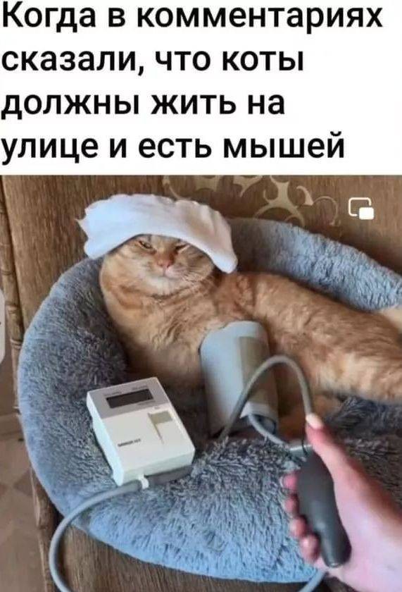 Немного забавных картинок