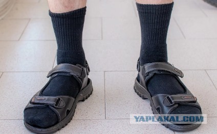 Эксперт по этикету Басманова назвала плавки признаком принадлежности к ЛГБТ