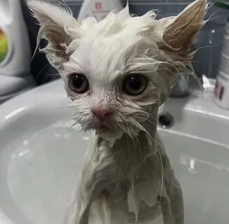 Некачественная изолента