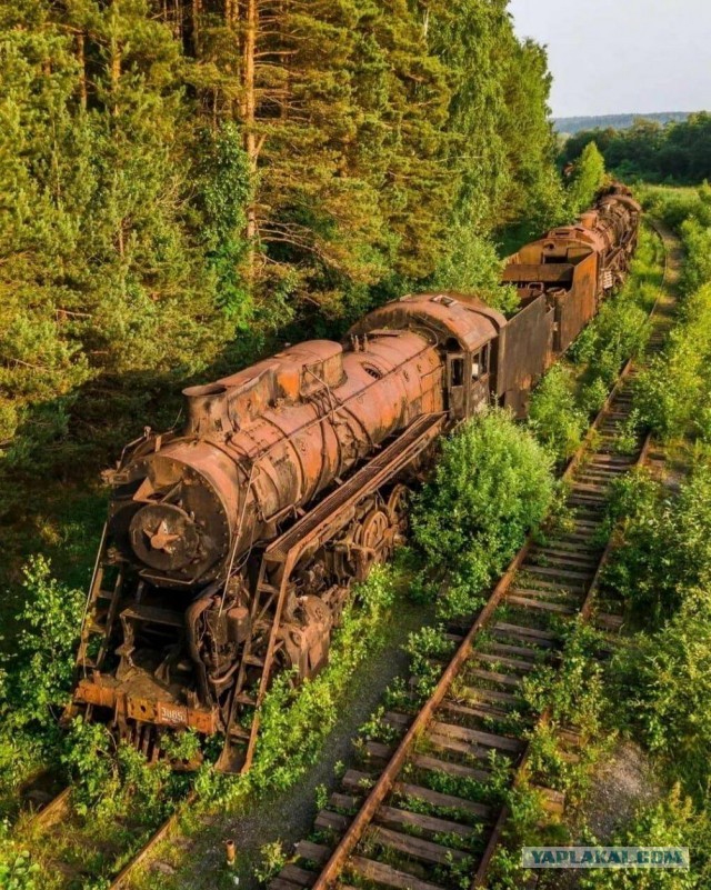 Прикольные и просто красивые картинки 18.10.2024