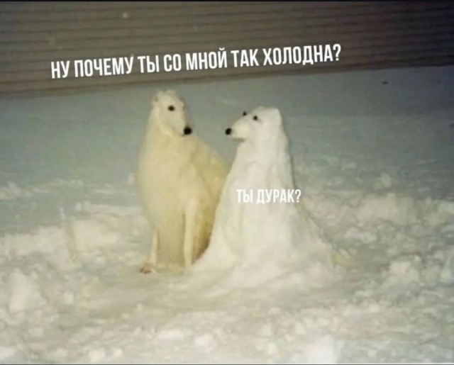 Завалялось тут случайно немного забавных картинок