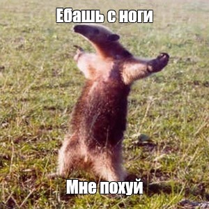 Дизайнеры интерьера