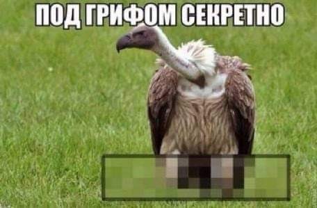 Смехотерапия. Весёлые картинки