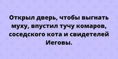 30 картинок из маршрутки №17