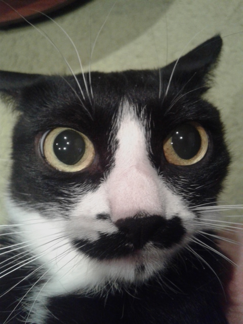 Хуак. Вы слушали Маяк